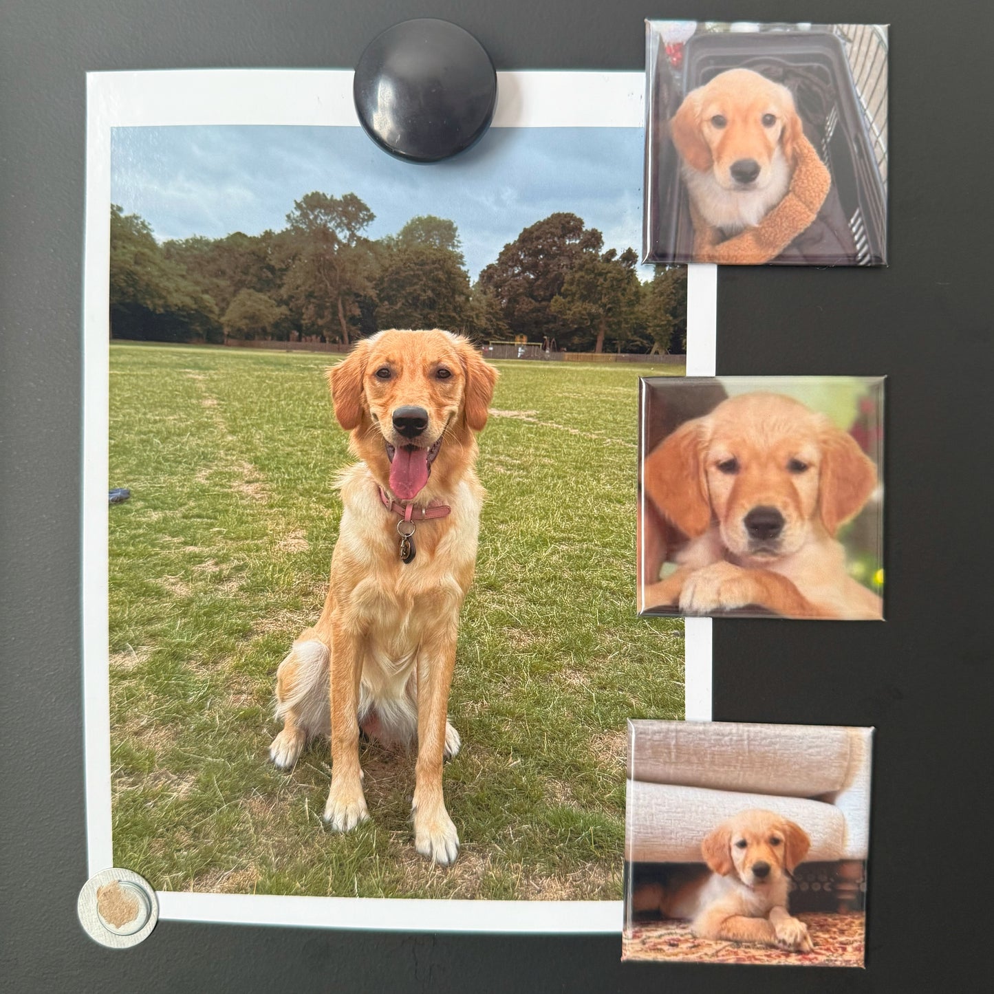 Set of 6 Personalised Photo Magnets – 5cm x 5cm
