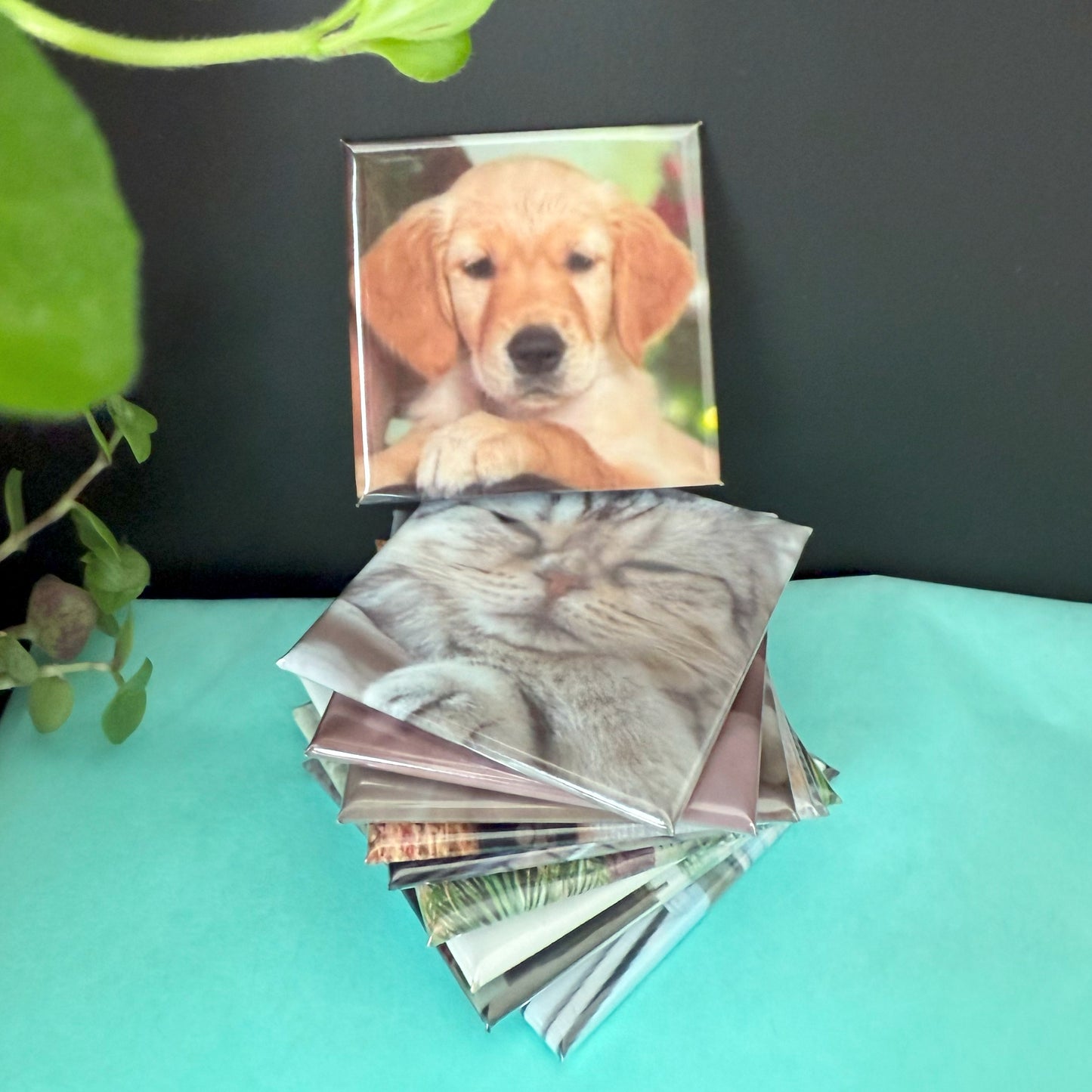 Set of 6 Personalised Photo Magnets – 5cm x 5cm
