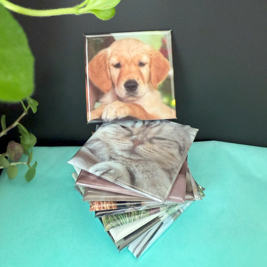 Set of 6 Personalised Photo Magnets – 5cm x 5cm